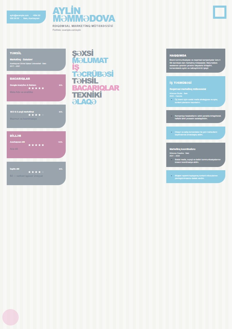Jurnal CV şablonunun uydurma məlumatlarla önizləməsi